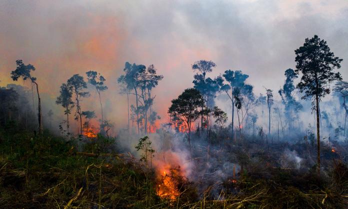 Amazon Rainforest Destabilizes the World