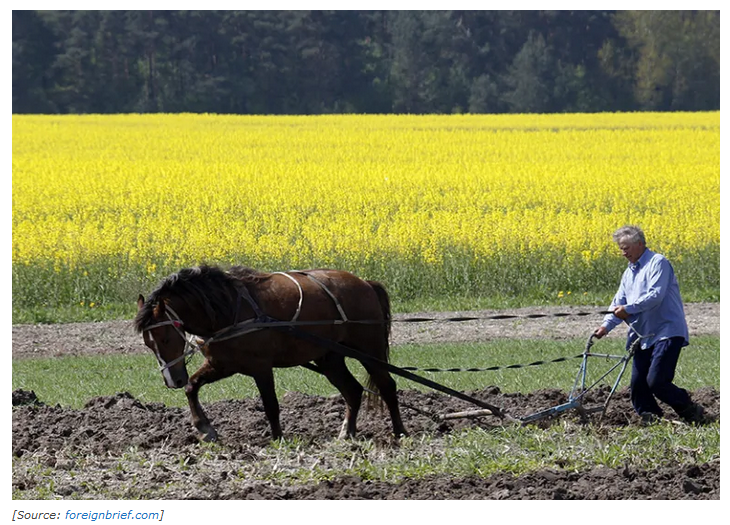 Taking the Capitalist Road Was the Wrong Choice For Ukraine