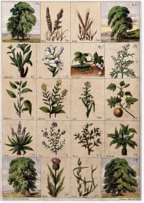 A Brief History of Sustainable Directions