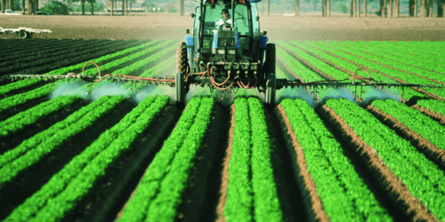 Atrazine probably causes cancer in humans, WHO cancer agency says